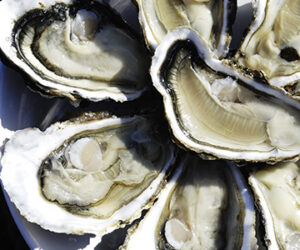 Huîtres de Noirmoutier
