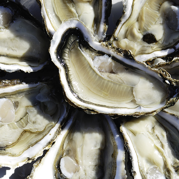 spécialité huîtres de noirmoutier